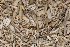 biomass boilers Blaenavon